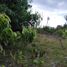  Land for sale in Panglao, Bohol, Panglao