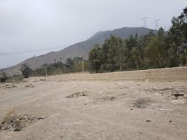  Land for sale in Cieneguilla, Lima, Cieneguilla