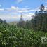  Land for sale in Mineral Del Chico, Hidalgo, Mineral Del Chico, Hidalgo
