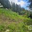  Land for sale in Mineral Del Chico, Hidalgo, Mineral Del Chico, Hidalgo