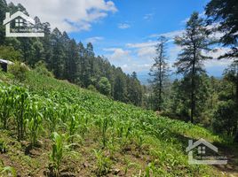  Land for sale in Mineral Del Chico, Hidalgo, Mineral Del Chico, Hidalgo
