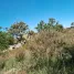 Terrain à vendre à San Juan Del Rio, Queretaro, San Juan Del Rio