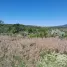 Terrain à vendre à San Juan Del Rio, Queretaro, San Juan Del Rio