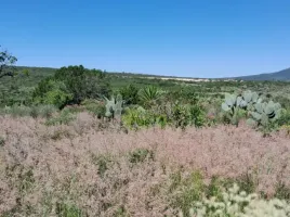 Terrain à vendre à San Juan Del Rio, Queretaro, San Juan Del Rio