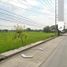  Land for rent in Pangasinan, Ilocos, Bayambang, Pangasinan