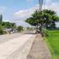  Land for rent in Bayambang, Pangasinan, Bayambang