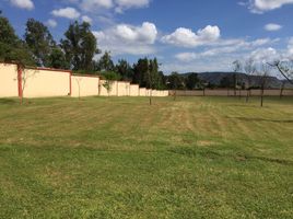  Terreno (Parcela) en venta en Zapopan, Jalisco, Zapopan, Jalisco