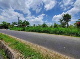  Tanah for sale in Petang, Badung, Petang