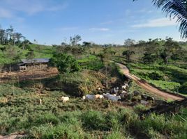  Terreno (Parcela) en venta en Huánuco, Puerto Inca, Puerto Inca, Huánuco