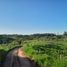  Terreno (Parcela) en venta en Huánuco, Puerto Inca, Puerto Inca, Huánuco