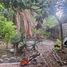 4 Schlafzimmer Villa zu verkaufen in San Andres Cholula, Puebla, San Andres Cholula, Puebla