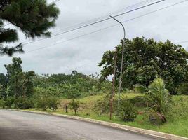  Terreno (Parcela) en venta en Silang, Calabarzon, Silang, Cavite, Calabarzon