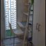 1 Schlafzimmer Appartement zu verkaufen in Mandaluyong City, Metro Manila, Mandaluyong City, Eastern District, Metro Manila, Philippinen