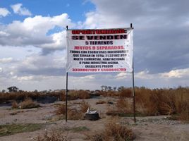  Land for sale in Atenco, Mexico, Atenco
