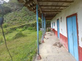 1 Bedroom House for sale in Antioquia, Concepcion, Antioquia