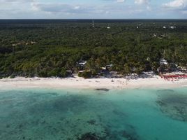 2 Schlafzimmer Haus zu verkaufen in Cozumel, Quintana Roo, Cozumel, Quintana Roo