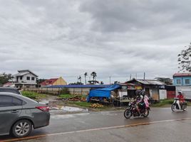  Terreno (Parcela) en venta en Lapu-Lapu City, Central Visayas, Lapu-Lapu City, Cebu