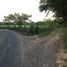  Land for sale in Jamapa, Veracruz, Jamapa
