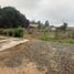  Land for sale in Lurin, Lima, Lurin, Lima, Lima