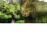  Terreno (Parcela) en venta en Tagaytay City, Calabarzon, Tagaytay City, Cavite, Calabarzon, Filipinas