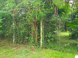  Land for sale in San Pablo City, Laguna, San Pablo City