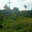 2 Bedroom House for sale in Silang, Calabarzon, Silang