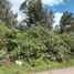  Terrain for sale in Antonio Ante, Imbabura, Atuntaqui, Antonio Ante