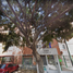 55 Habitación Apartamento en venta en Venustiano Carranza, Ciudad de México, Venustiano Carranza