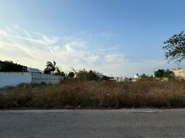  Grundstück zu verkaufen in Merida, Yucatan, Merida, Yucatan