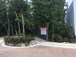  Grundstück zu verkaufen in Puerto Morelos, Quintana Roo, Puerto Morelos, Quintana Roo