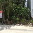  Grundstück zu verkaufen in Puerto Morelos, Quintana Roo, Puerto Morelos, Quintana Roo