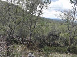  Terreno (Parcela) en venta en Lagos De Moreno, Jalisco, Lagos De Moreno