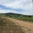  Land for sale in San Martin, Tarapoto, San Martin, San Martin