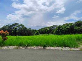  Land for sale in Talisay, Batangas, Talisay