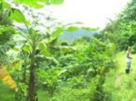  Terreno (Parcela) en venta en Calamba City, Calabarzon, Calamba City, Laguna, Calabarzon, Filipinas