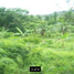  Terreno (Parcela) en venta en Calamba City, Calabarzon, Calamba City, Laguna, Calabarzon, Filipinas