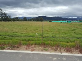  Land for sale in Gachancipa, Cundinamarca, Gachancipa