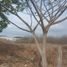  Terreno (Parcela) en venta en Manta, Manabi, Manta, Manta