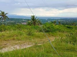  Grundstück zu verkaufen in Cebu, Central Visayas, Carcar City, Cebu