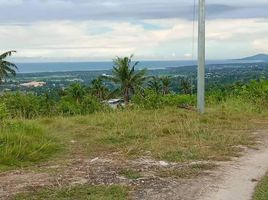  Terrain for sale in Cebu, Central Visayas, Carcar City, Cebu