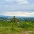  Land for sale in Carcar City, Cebu, Carcar City