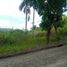  Land for sale in Consolacion, Cebu, Consolacion