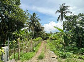  Terrain for sale in Alfonso, Cavite, Alfonso