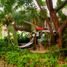 3 Habitación Casa en venta en Compostela, Nayarit, Compostela