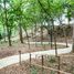  Land for sale in Santiago, Nuevo Leon, Santiago, Nuevo Leon, Mexico