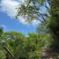  Terreno (Parcela) en venta en Compostela, Nayarit, Compostela