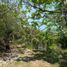  Terreno (Parcela) en venta en Compostela, Nayarit, Compostela