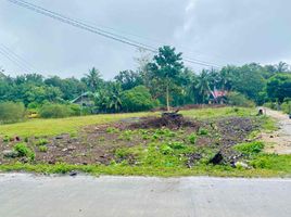  Terrain for sale in Bohol, Central Visayas, Dauis, Bohol