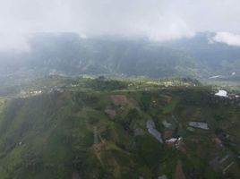  Terrain for sale in Cebu, Central Visayas, Sibonga, Cebu