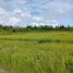  Land for sale in Ubay, Central Visayas, Ubay